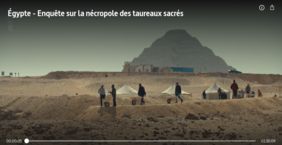 Documentaire sur ARTE : "Égypte - Enquête sur la nécropole des taureaux sacrés"