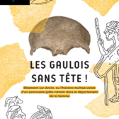 Couverture ouvrage "Les gaulois sans tête"